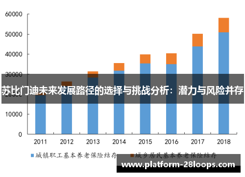 苏比门迪未来发展路径的选择与挑战分析:潜力与风险并存 苏比门迪未来发展路径的选择与挑战分析:潜力与风险并存