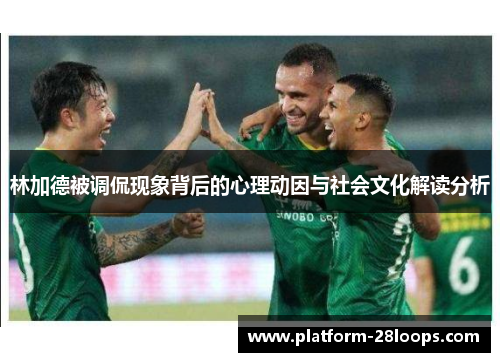 林加德被调侃现象背后的心理动因与社会文化解读分析 林加德被调侃现象背后的心理动因与社会文化解读分析