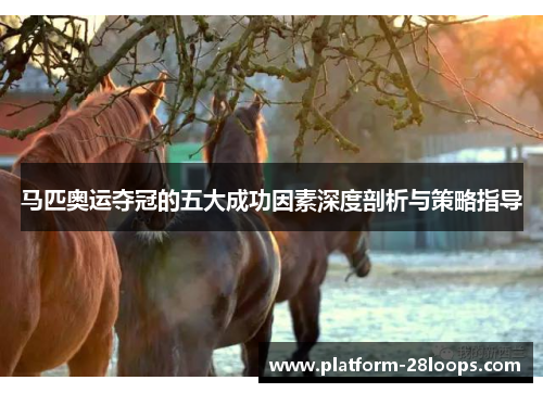 马匹奥运夺冠的五大成功因素深度剖析与策略指导